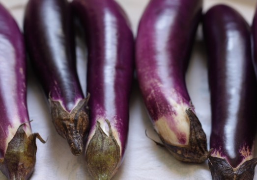Japanese Eggplant seed Solanum melongena 